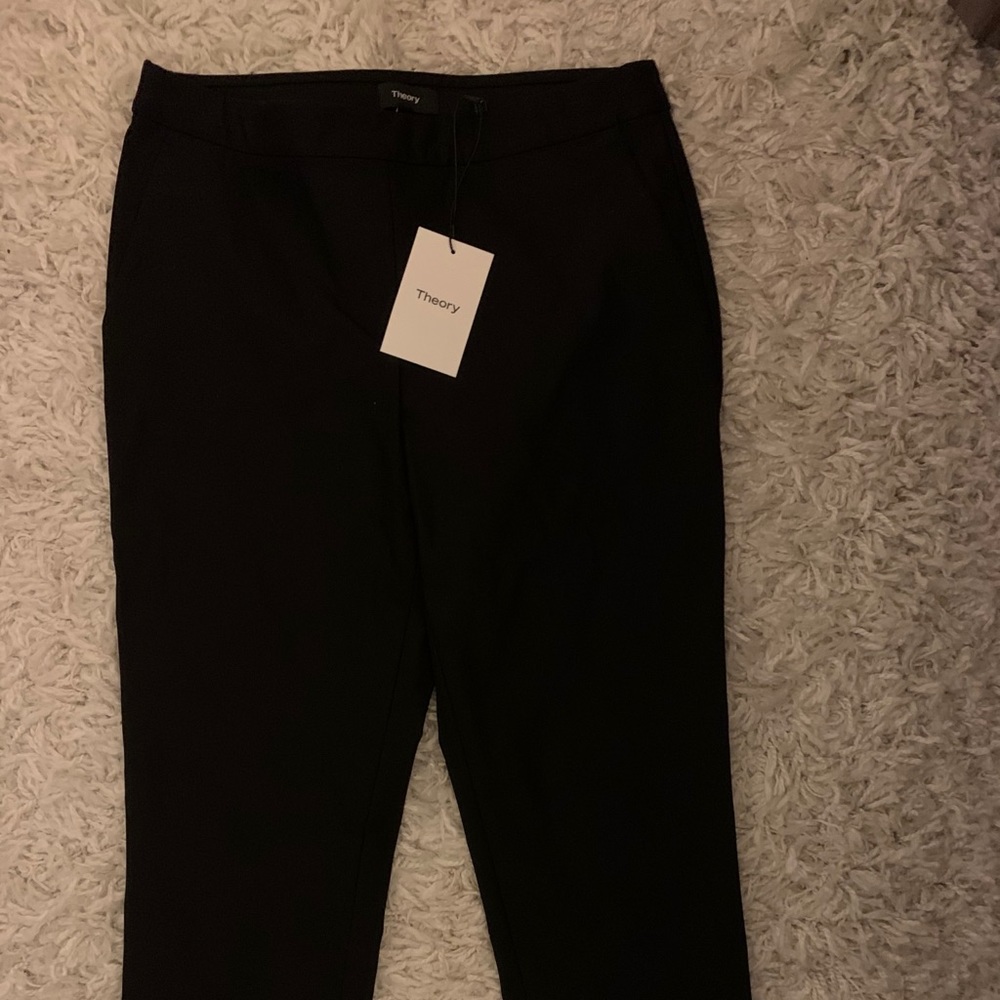 Theory Thaniel Pants